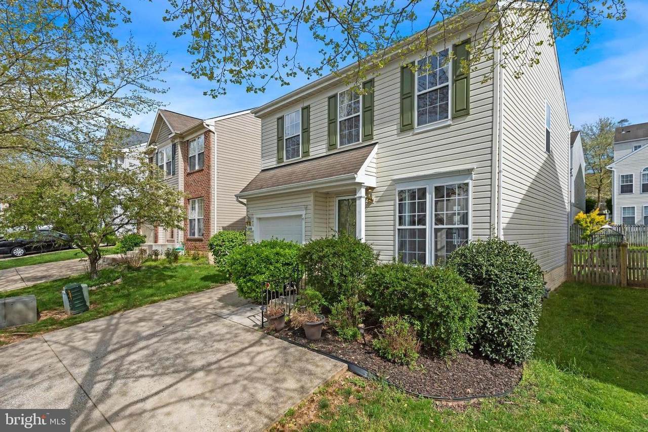 8309 Pigeon Fork Lane - Photo 1