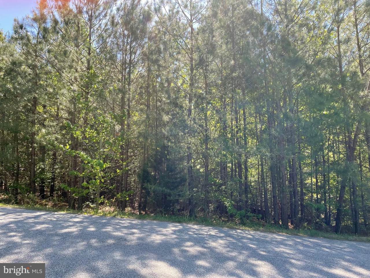 24050 Pappys Way - Photo 1
