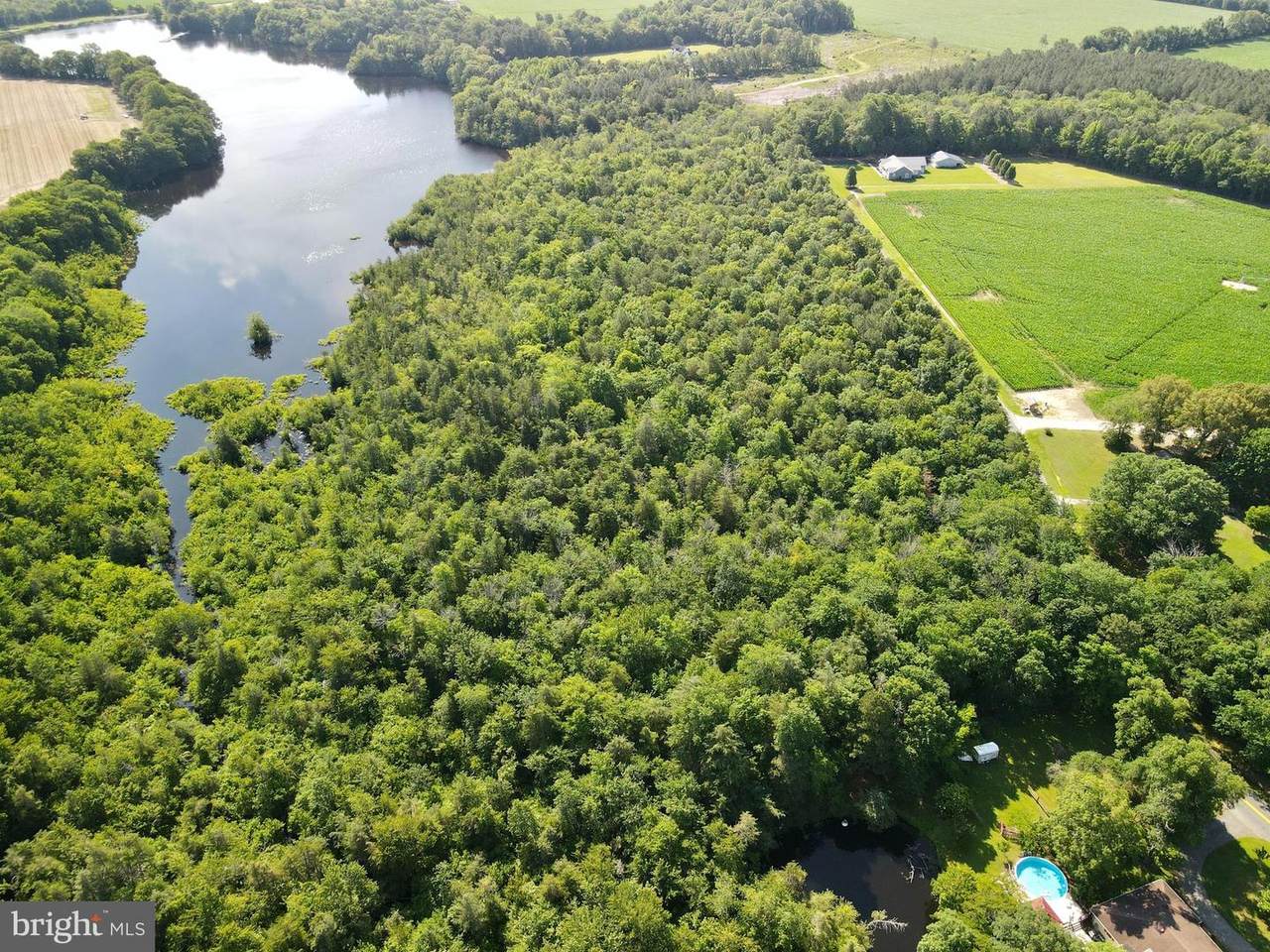0 Reynolds Pond Rd. - Photo 1