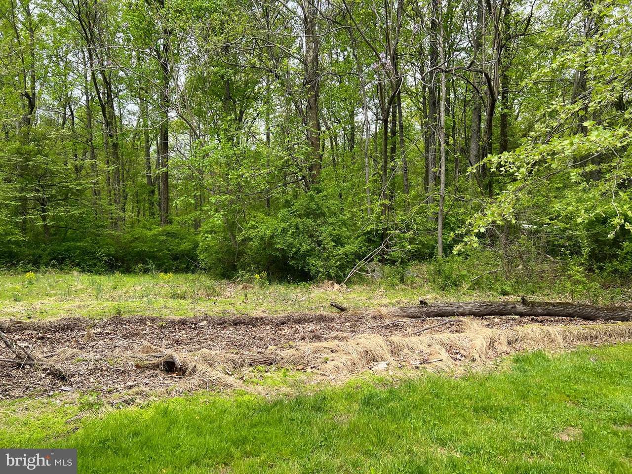 210 Highland Terrace - Photo 1