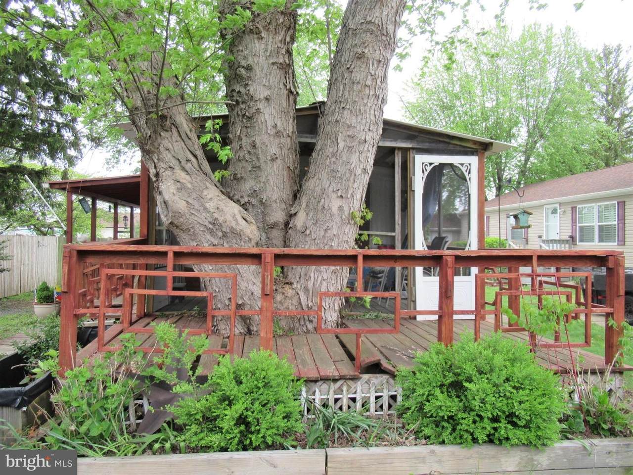 35521 Wolfe Neck Road - Photo 1