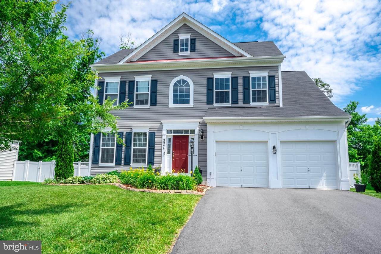 12244 Sedge Street - Photo 1
