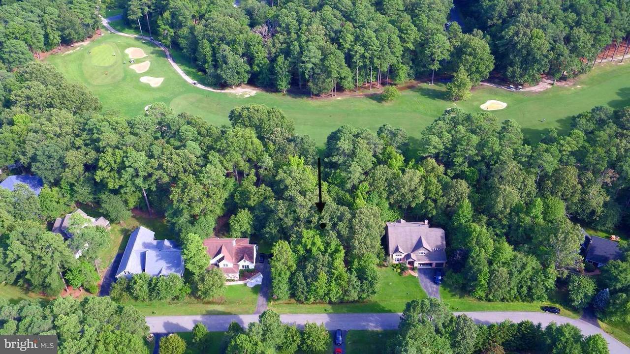 11255 Annabelle Drive - Photo 1