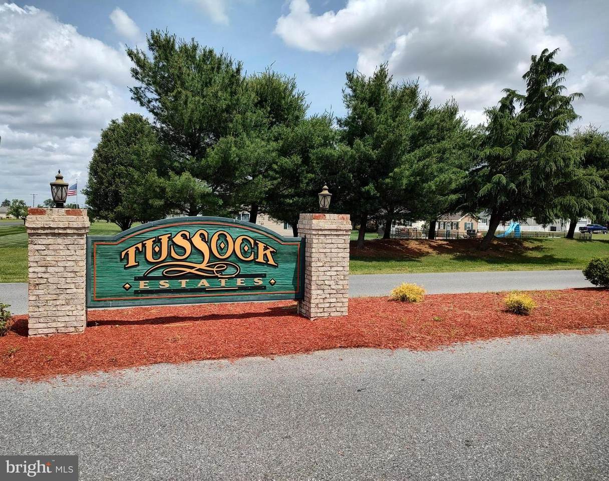 32583 Mount Pleasant Road - Photo 1