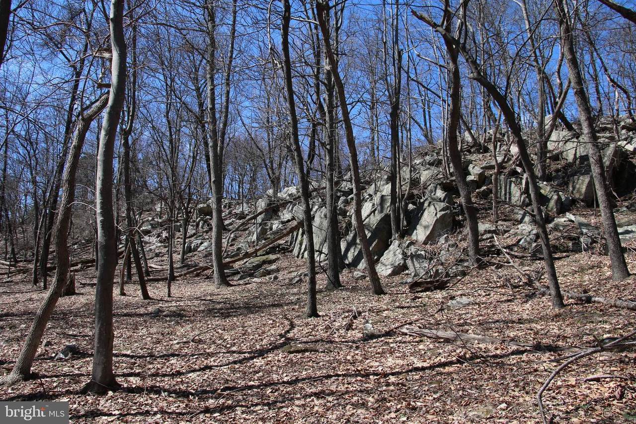 Back Road - Photo 1