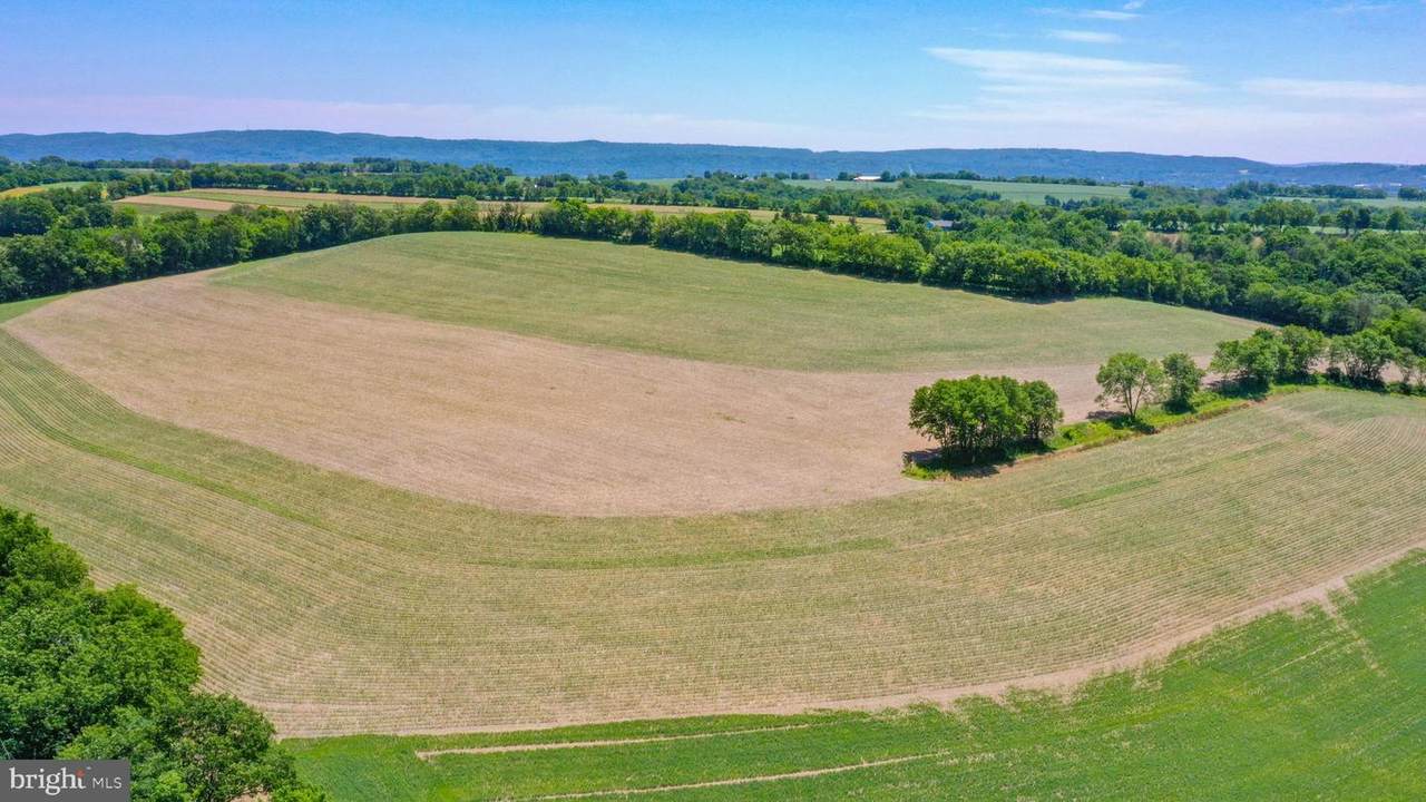 7965 Little Creek Road - Photo 1