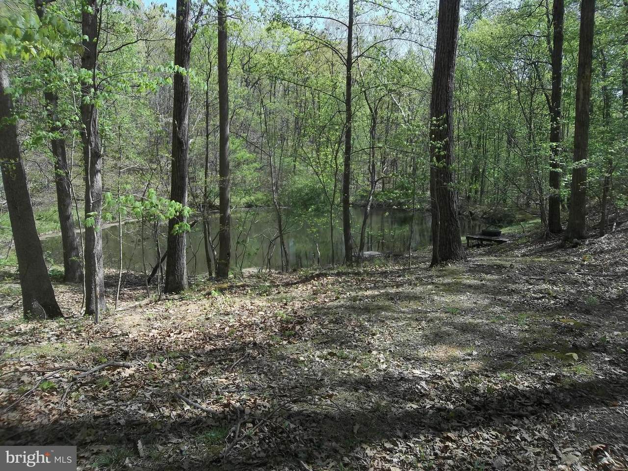 0 Wild Turkey Court - Photo 1