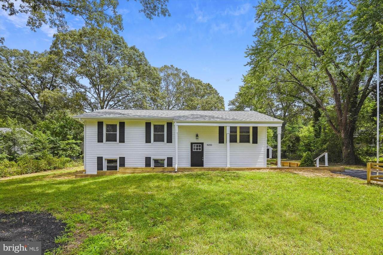 8201 Bodkin Avenue - Photo 1