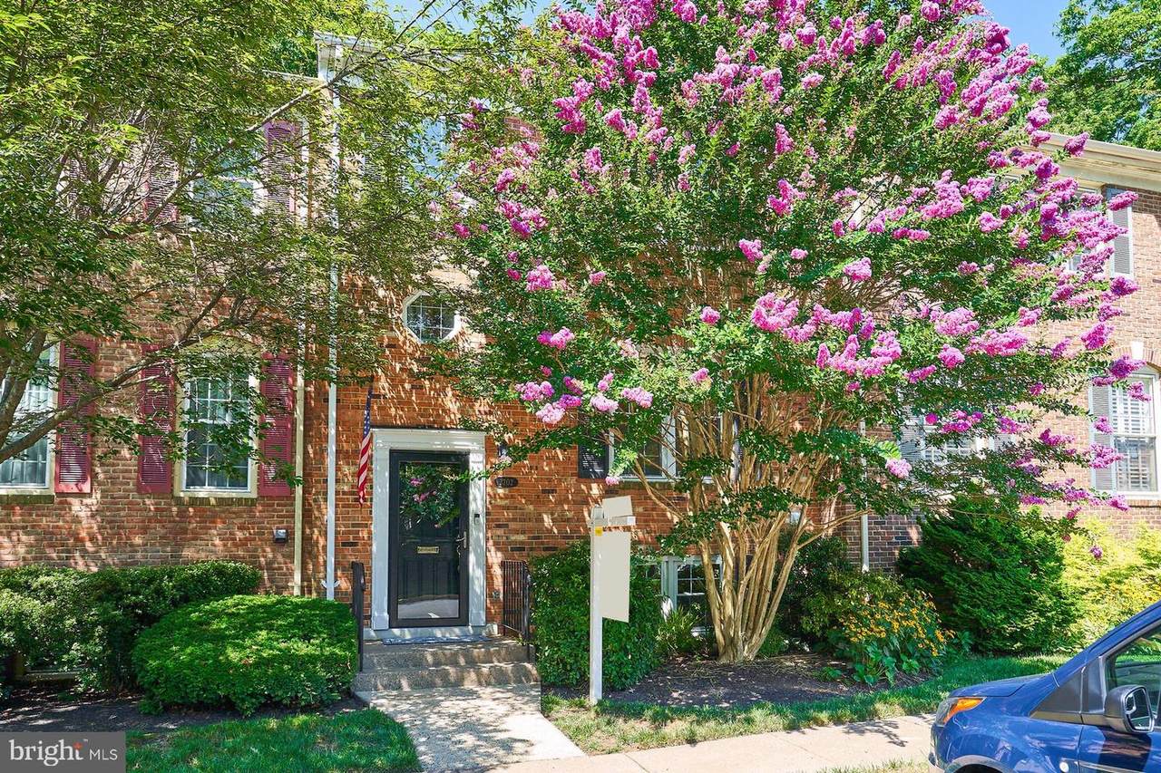 3202 Cantrell Lane - Photo 1