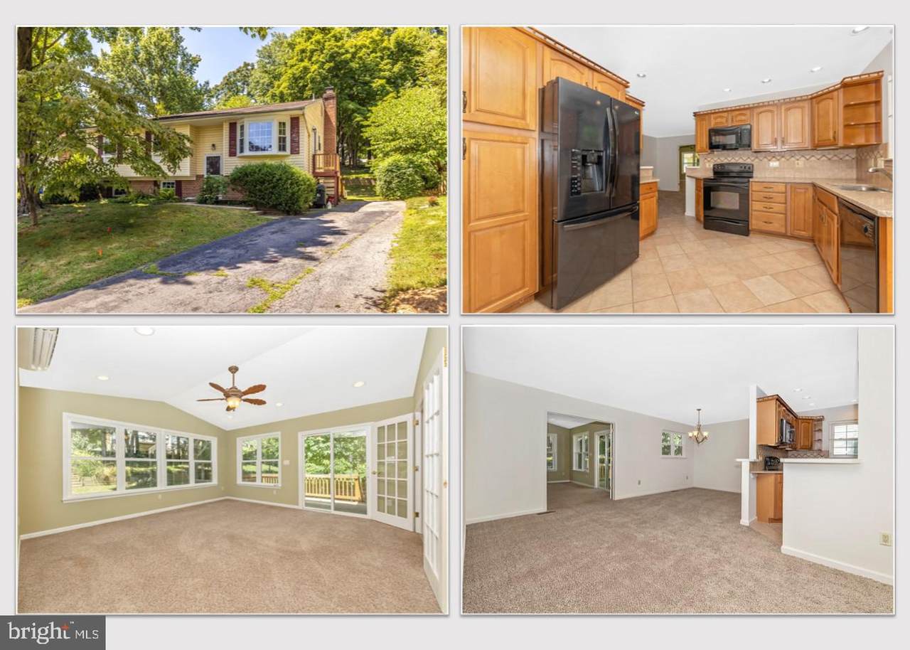 24308 Flamingo Terrace - Photo 1