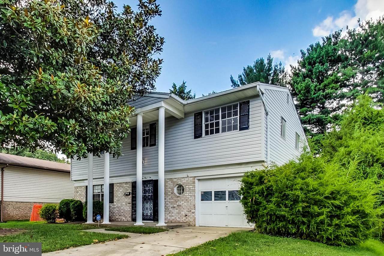 3902 Rayton Road - Photo 1