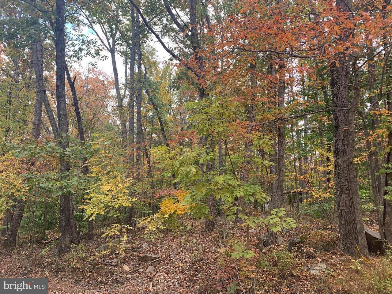 Cliff Lane - Photo 1
