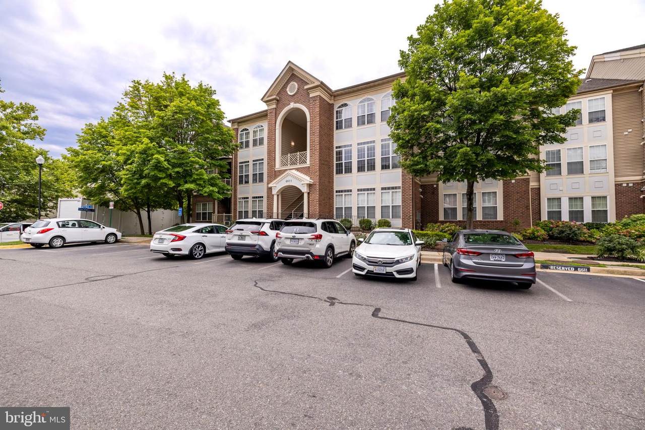 6611-M Netties Lane - Photo 1