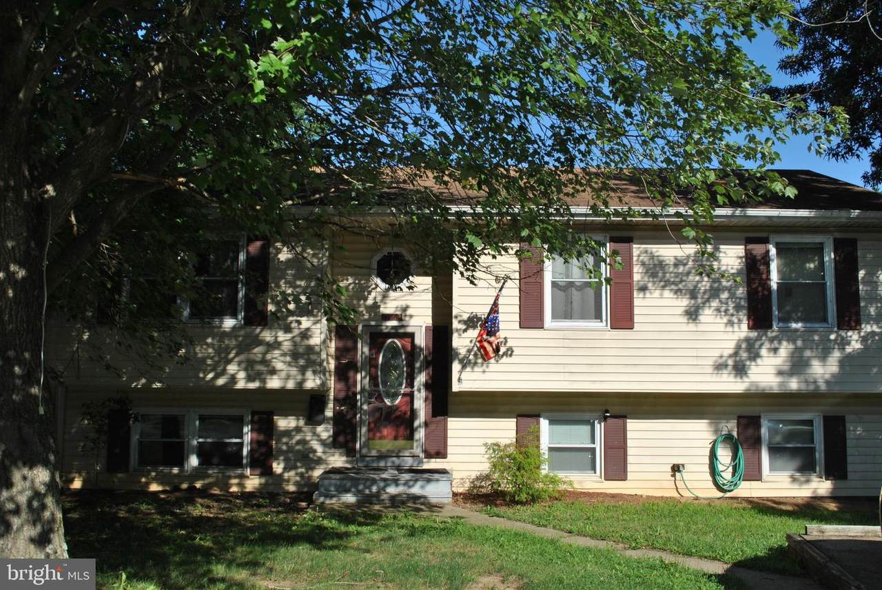 8562 Megs Drive - Photo 1
