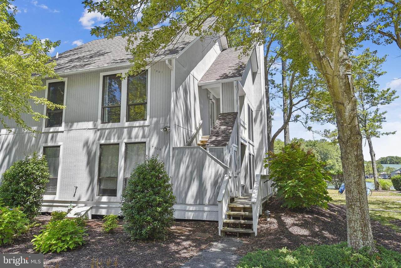 33541 Brighton Trail - Photo 1