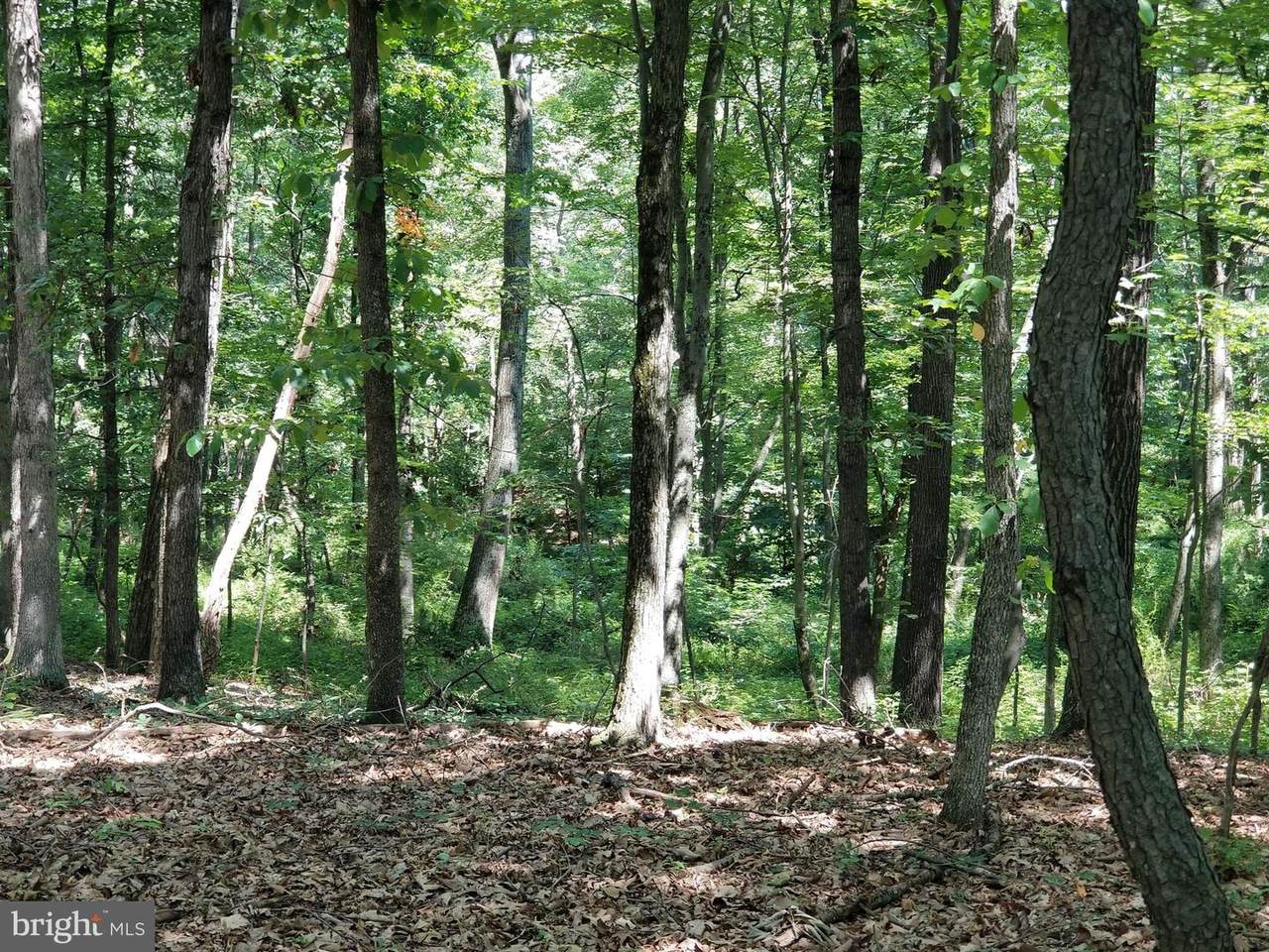 Heavenly Acres Ridge Road - Photo 1