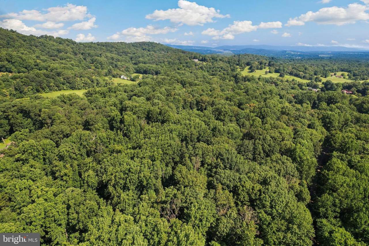 Lot 25 Rolling Hills - Photo 1