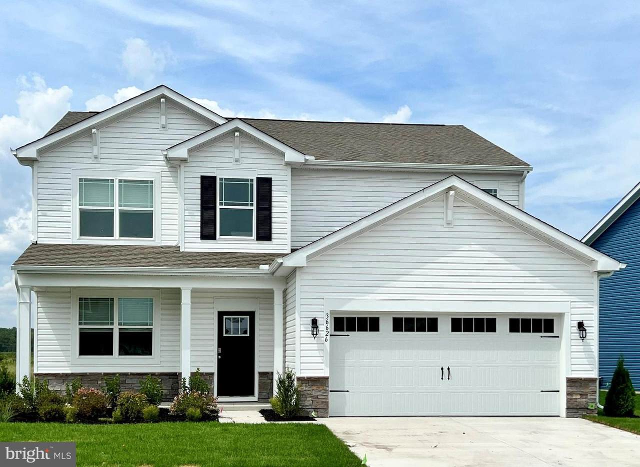 31131 Tigress Road - Photo 1