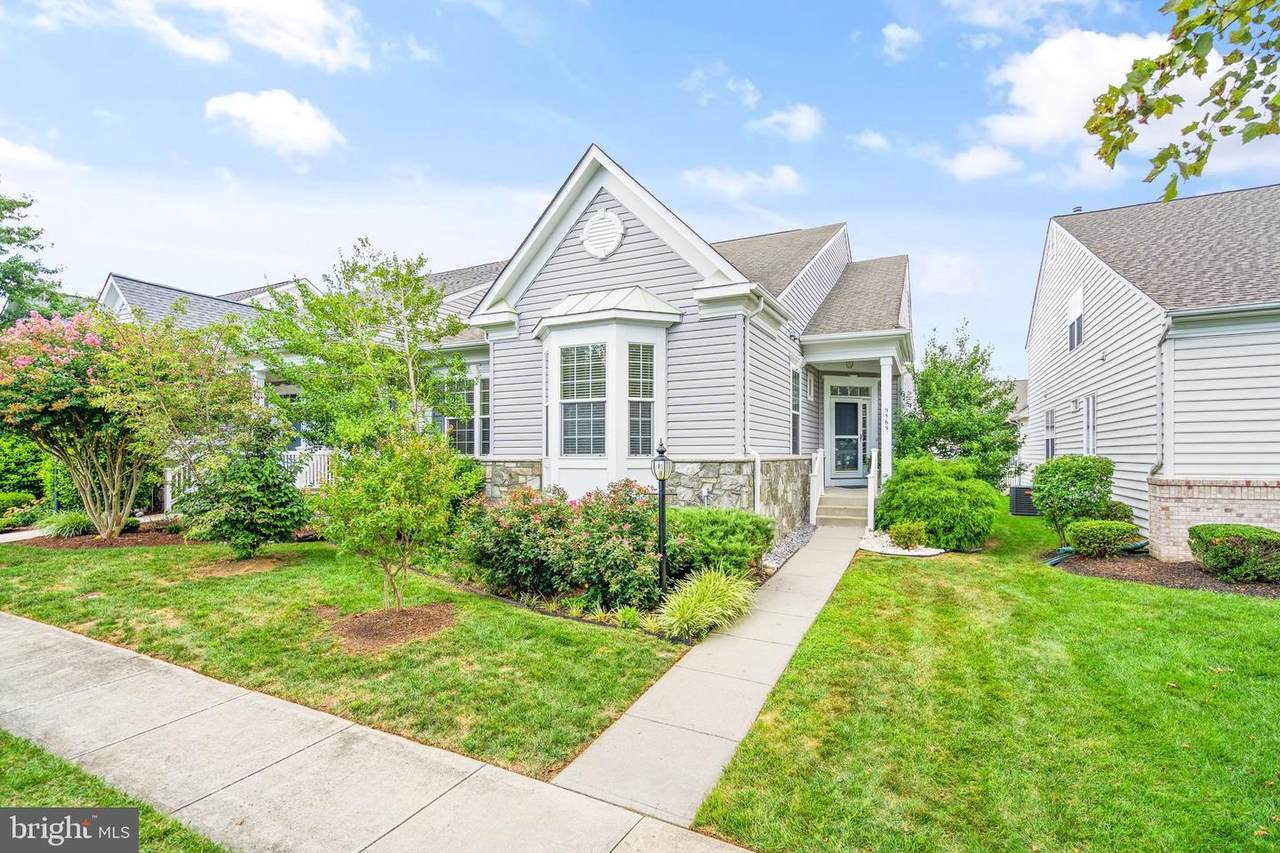 9569 Fintry Street - Photo 1