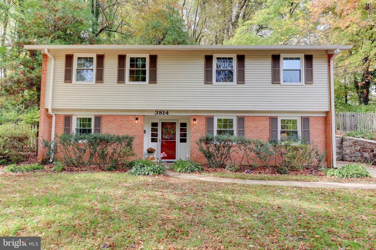 3814 Ivydale Drive - Photo 1