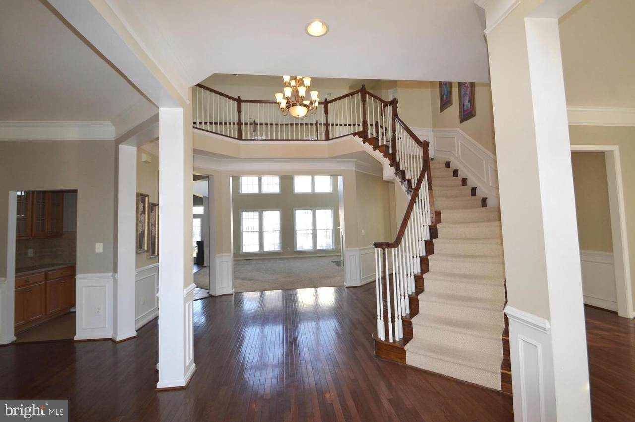 41820 Cordgrass Circle - Photo 1