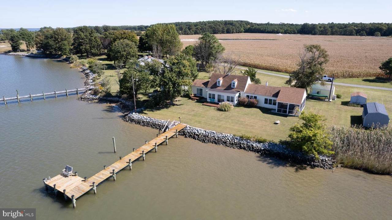 644 Taylors Island Road - Photo 1