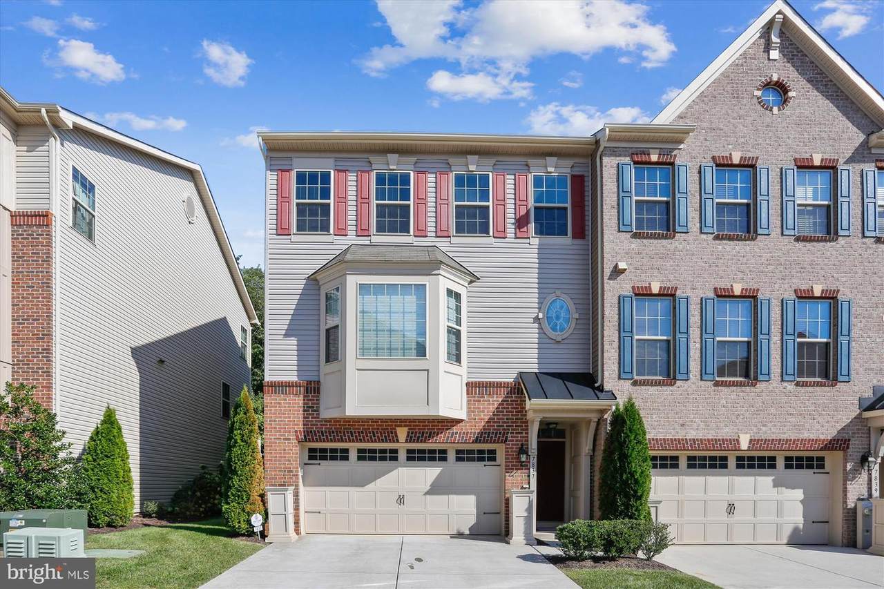 7837 Rappaport Drive - Photo 1