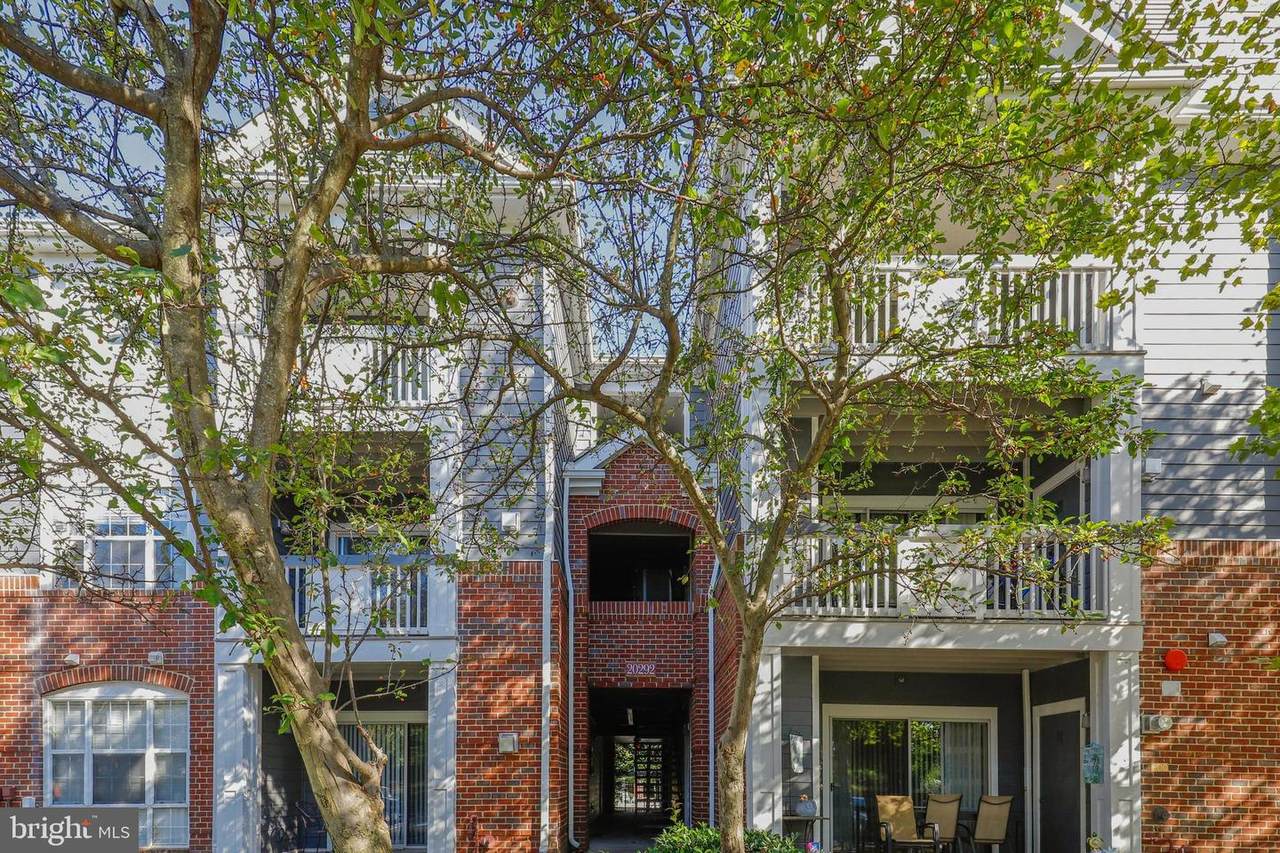20292 Beechwood Terrace - Photo 1