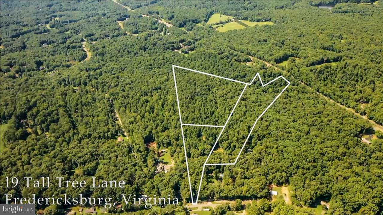 19 Tall Tree Lane - Photo 1