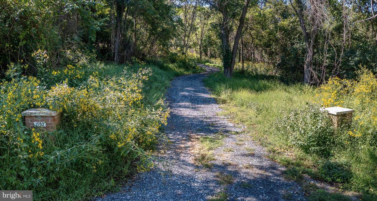 1550 Shenandoah River Lane - Photo 1