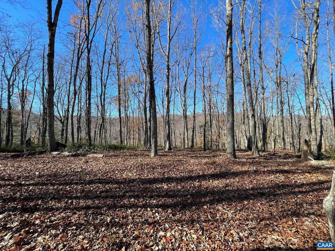 Lot 5 Pine Trl - Photo 1