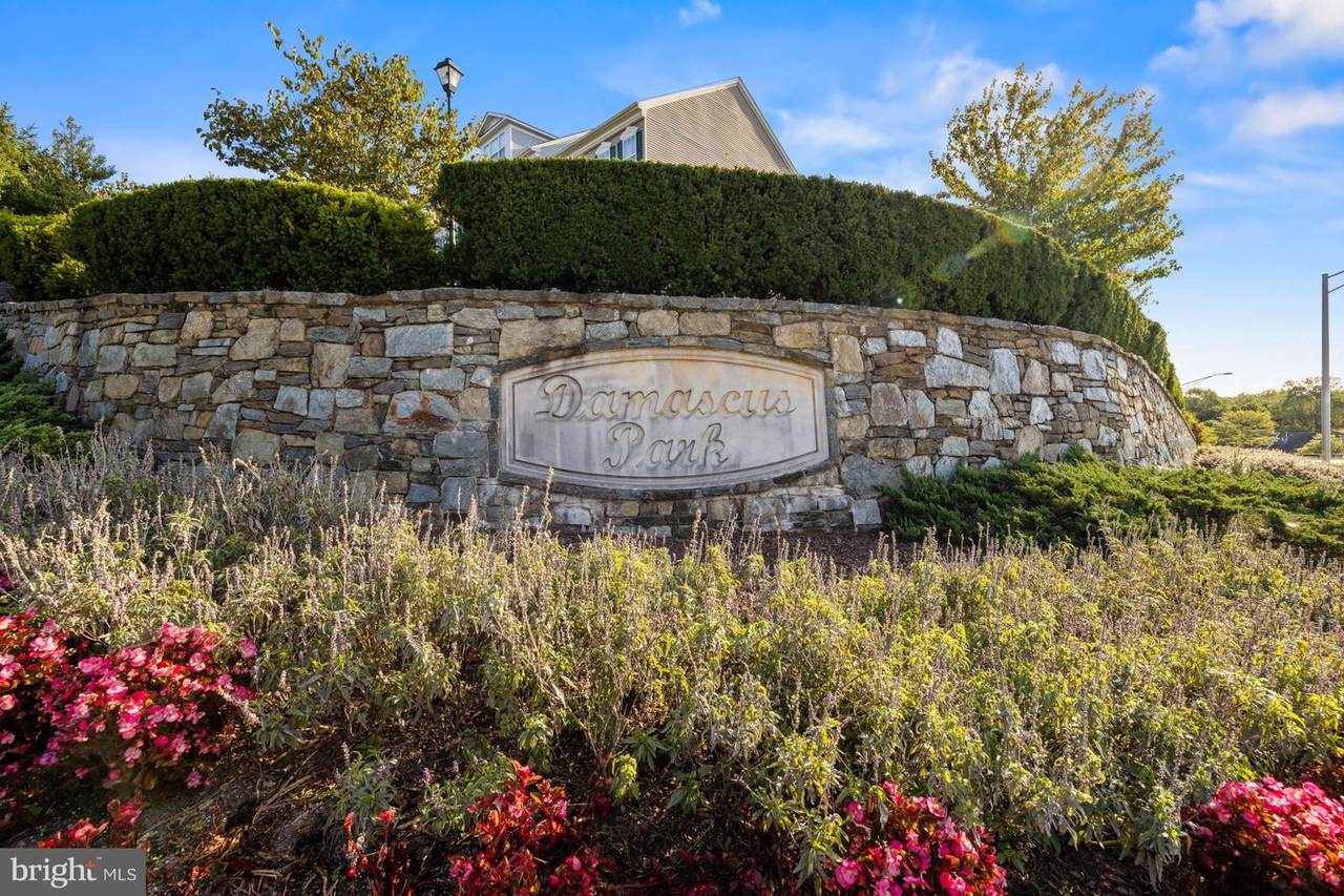 10456 Damascus Park Lane - Photo 1