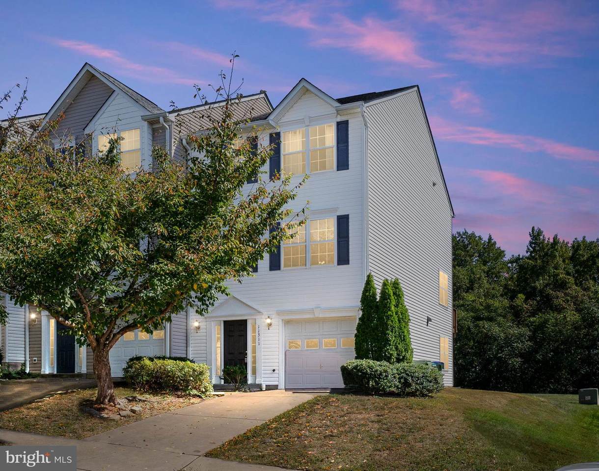 11311 Wytheville Lane - Photo 1