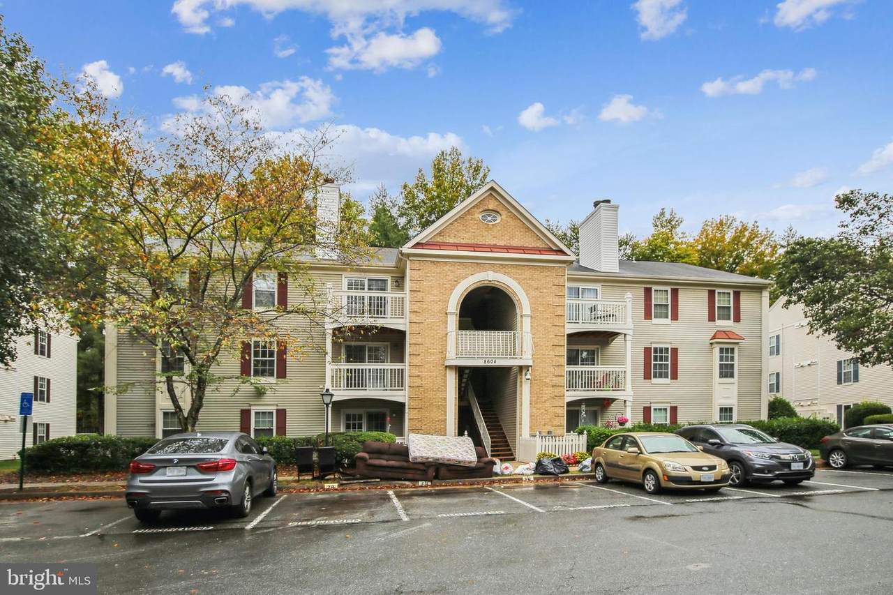 8604 Shadwell Drive - Photo 1