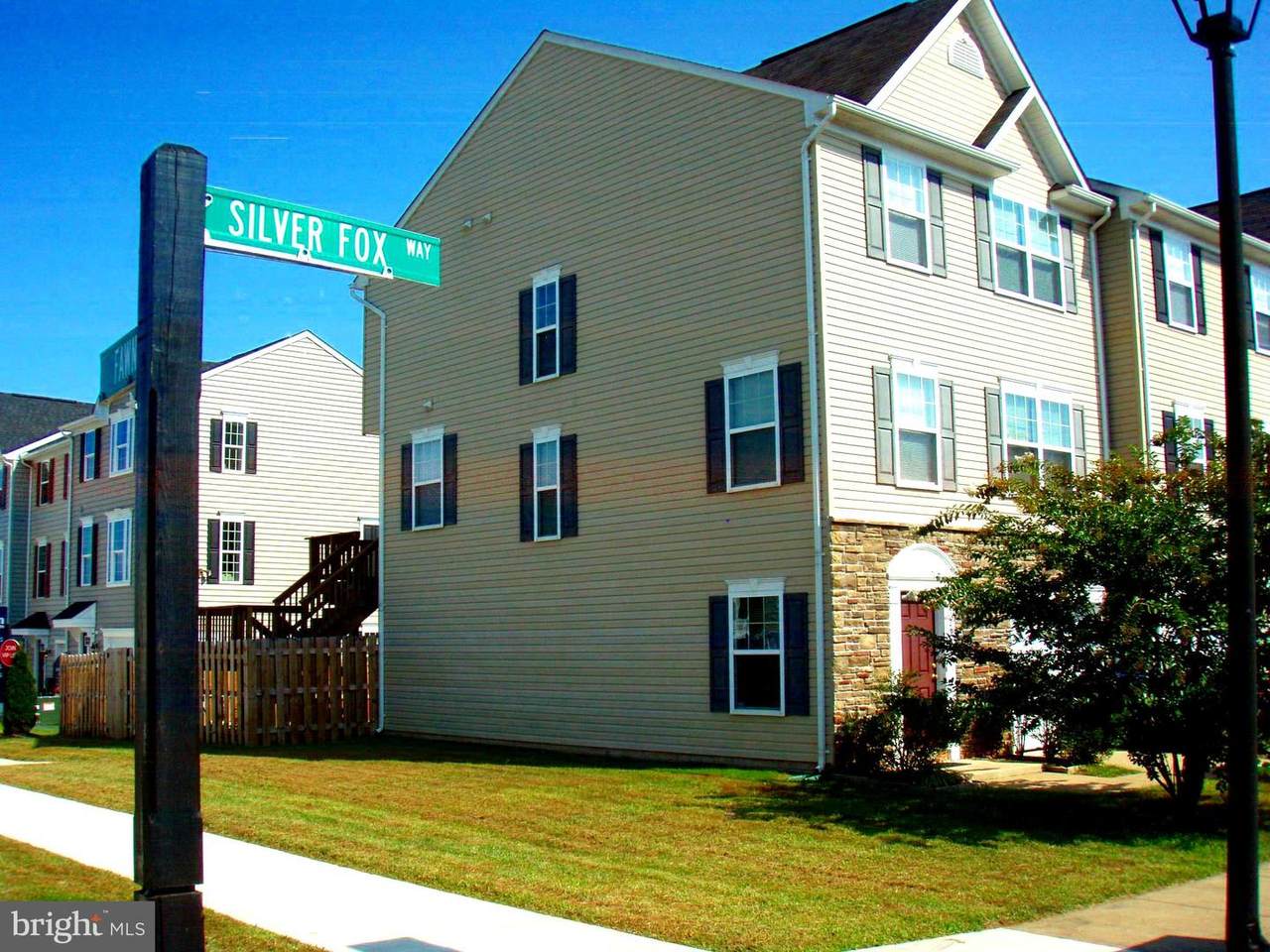 2339 Silver Fox Way - Photo 1