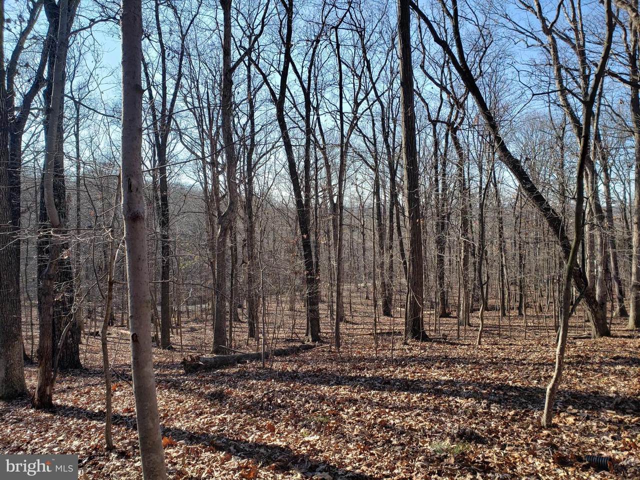 Balsam Ln - Photo 1