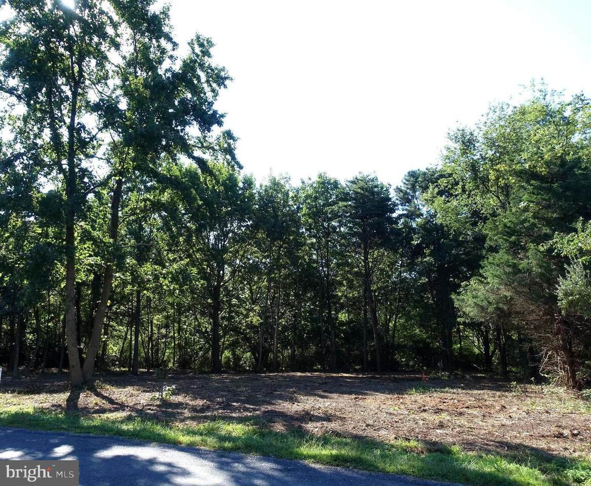 0 North Lake Road - Photo 1
