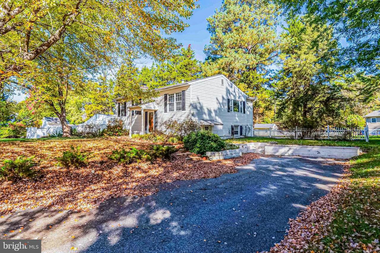 11710 Quade Street - Photo 1