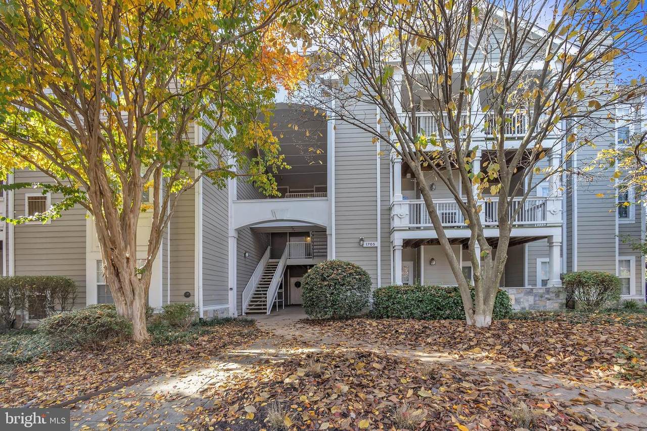 1705 Lake Shore Crest Drive - Photo 1