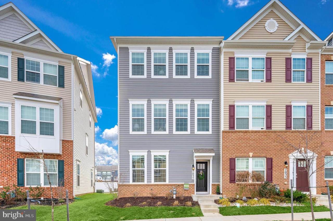 7037 Freedom Way - Photo 1