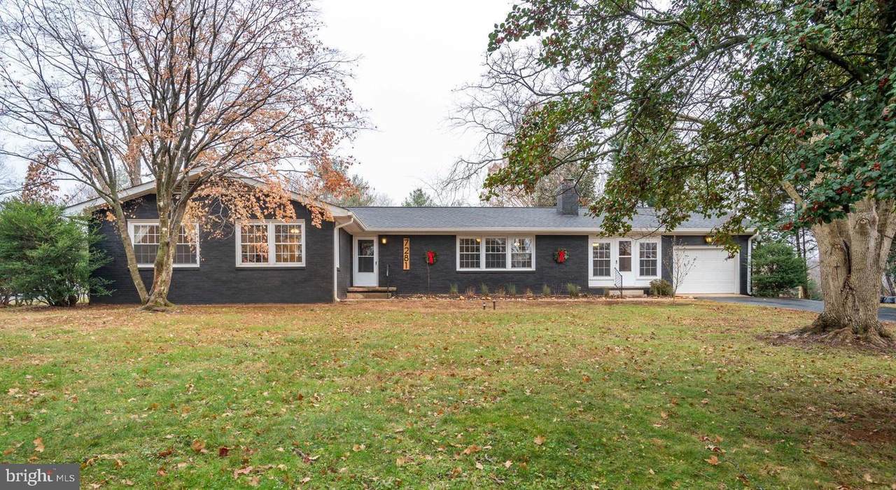 7281 Mosby Drive - Photo 1