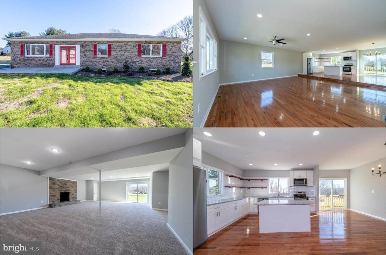 6205 Mallard Lane - Photo 1