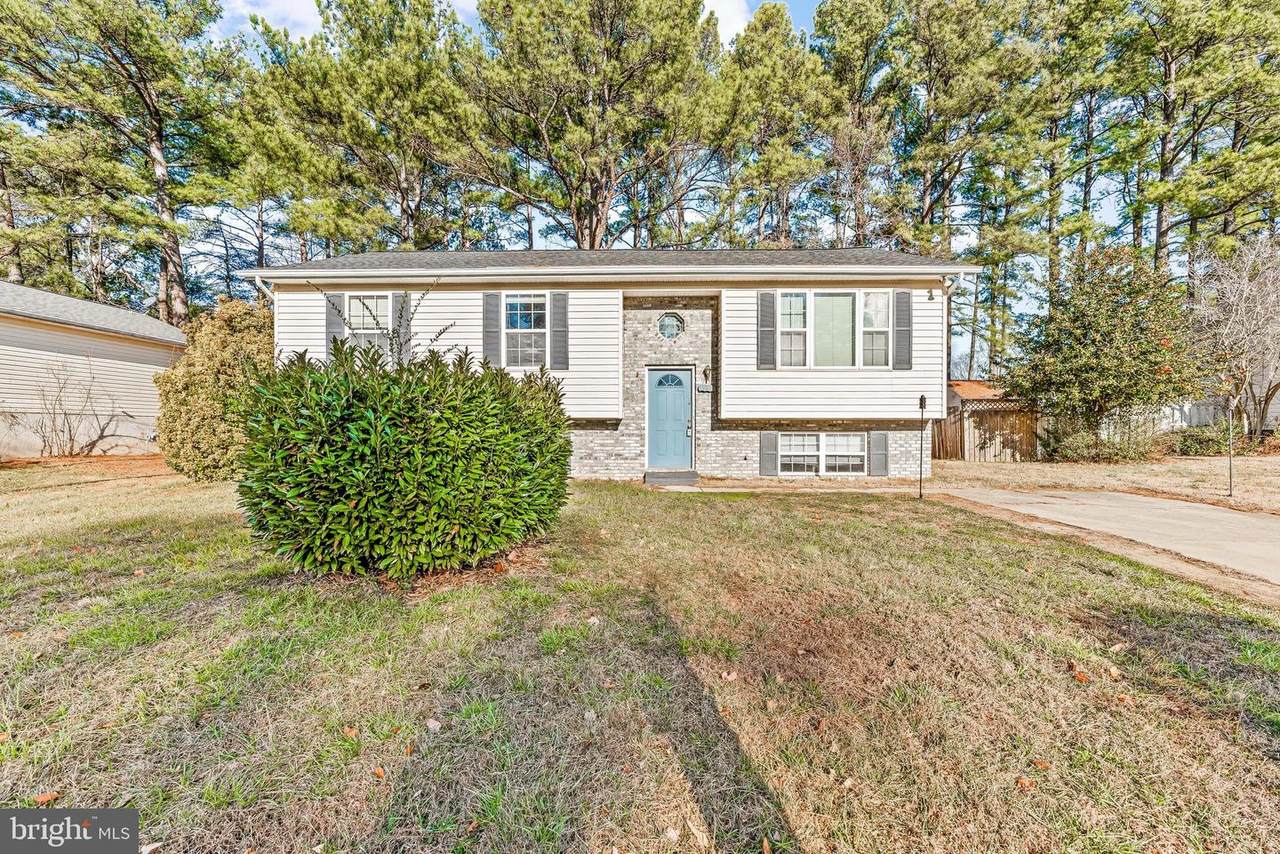 45848 Meadowlark Drive - Photo 1
