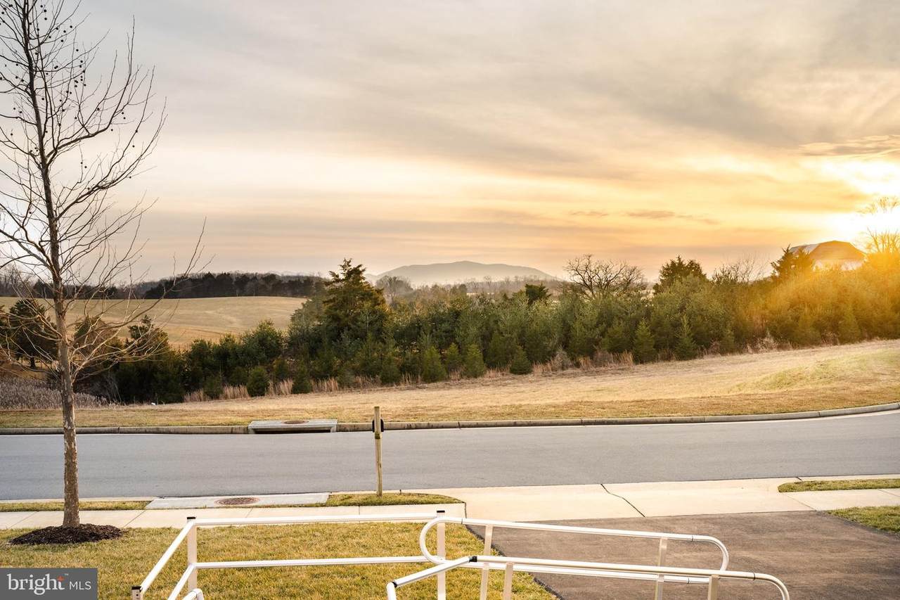 105 Falling Mountain Place - Photo 1