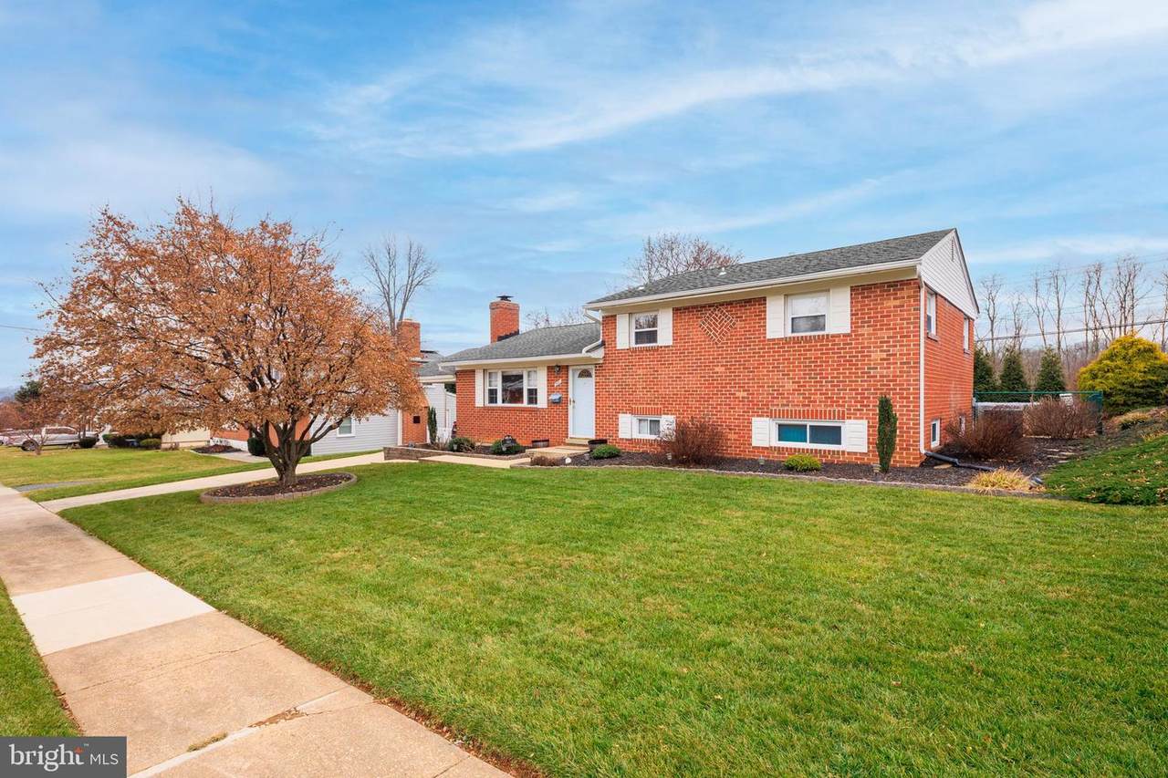 501 Courtland Place - Photo 1