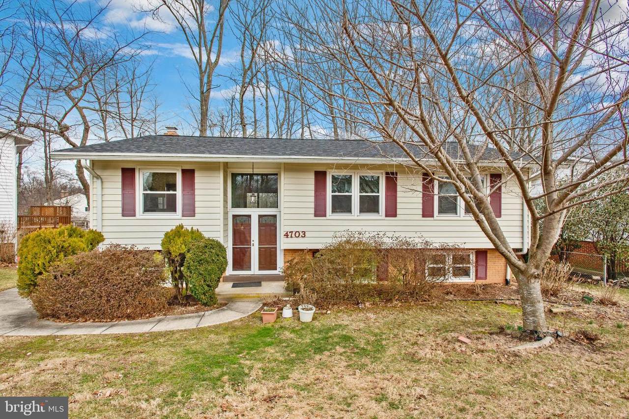 4703 Tara Drive - Photo 1
