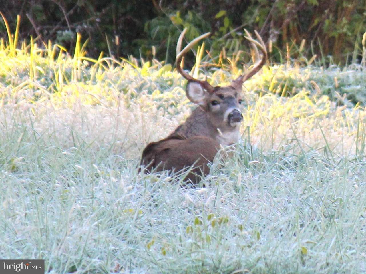 Sparks Corner Sparks Mill At Route 213 Road - Photo 1