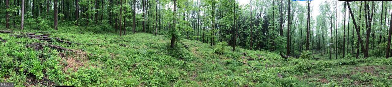 130 Pumpkin Hill Road - Photo 1
