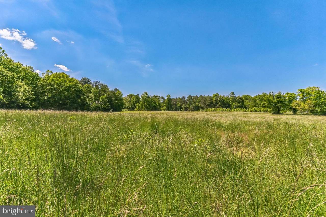 2195 Henry Hutchins Road - Photo 1