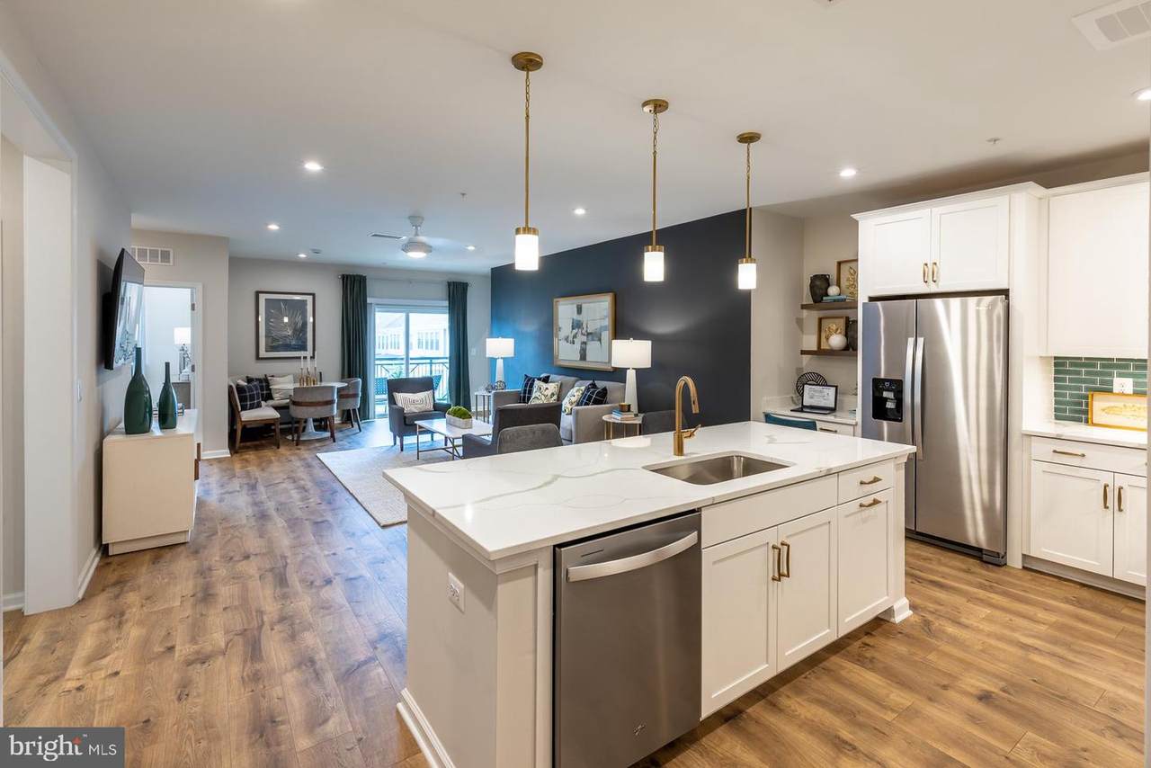 13210 Petrel Street - Photo 1